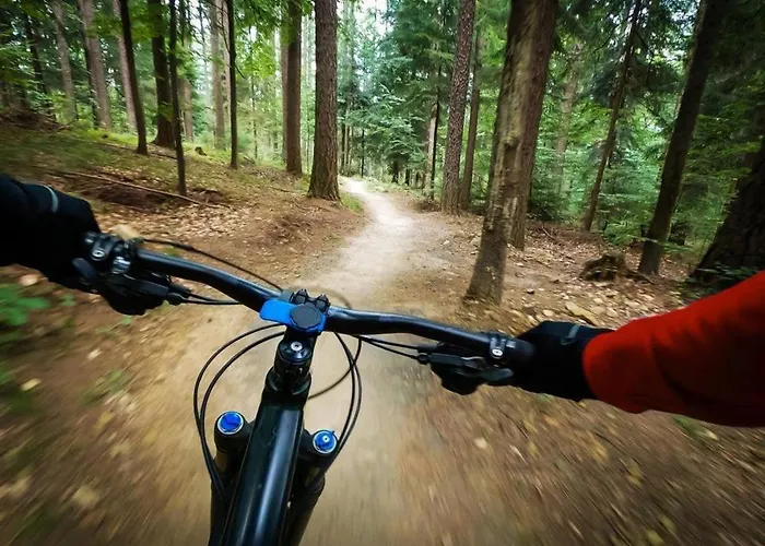 Апартаменты Chata Ski *